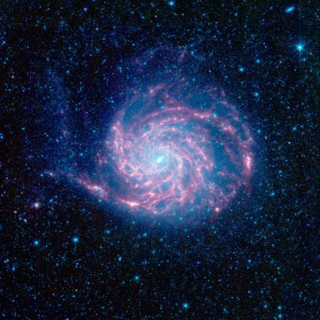 M101   